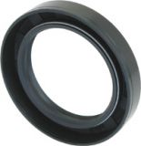 Massey Ferguson Wellendichtring (966238M1)