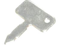 Massey Ferguson Zündschlüssel (3813361M1)