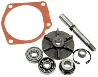 Massey Ferguson Wasserpumpen-Rep.Satz