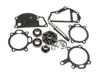 Massey Ferguson Wasserpumpen-Rep.Satz