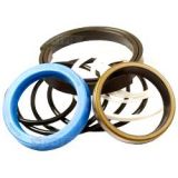 Massey Ferguson Dichtungssatz Hydraulikzylinder