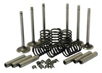 Massey Ferguson Ventilreparatursatz