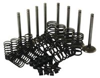 Massey Ferguson Ventil-Reparatursatz