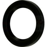 Massey Ferguson Kurbelwellen-Dichtring vorne (732043M1)