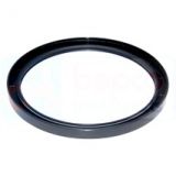 Massey Ferguson Wellendichtring (395527X1)