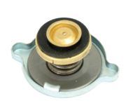 Massey Ferguson Kühlerdeckel (24850017)