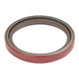 Case Wellendichtring vorne (3228133R93)