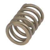 Case Ventilfeder (3055060R1)