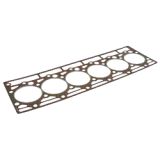Case Zylinderkopfdichtung (3228019R1)