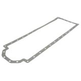 Case Ölwannen-Dichtung (3055987R2)