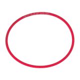 Case Zylinder-Dichtring