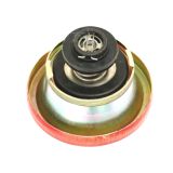 Kühlerdeckel (1874445M93)