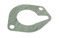 Massey Ferguson Thermostat-Dichtung (3641893M1)