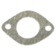 Ford/NH Kühlwasser-Pumpendichtung (4599562)