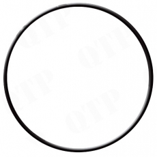 Fiat Hydraulik Filter O-Ring (14466080)