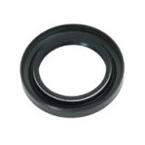 Massey Ferguson Dichtung (897242M1)