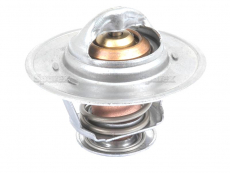 Ford/NH Thermostat (98463638)