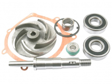 Massey Ferguson Wasserpumpen-Reparatursatz (747771M91)