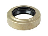 Massey Ferguson Dichtring