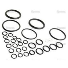 Massey Ferguson Dichtsatz (1810467M91)