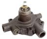 Massey Ferguson Wasserpumpe (3637372M91)