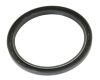 Massey Ferguson Wellendichtring hinten (1076898M1)