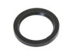 Massey Ferguson Wellendichtring hinten (825208M1)