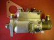 CAV Einspritzpumpe für 23C-Motor, mit Austausch