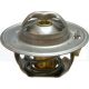 Massey Ferguson Thermostat (1446165M91)