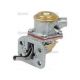 Case Kraftstoffpumpe (295976A1)