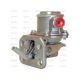 Case Kraftstoffpumpe (3118234R91)