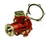 Deutz Wasserpumpe (02937455)