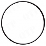 Fiat Hydraulik Filter O-Ring (14466080)