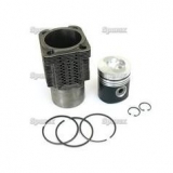 Fendt Kolben/Zylindersatz (F100004157756)