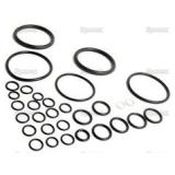 Massey Ferguson Dichtsatz (1810467M91)