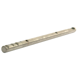 Massey Ferguson Schiene