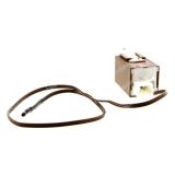 Deutz Thermostat (090000379)